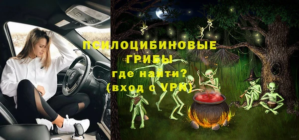 СК Арсеньев